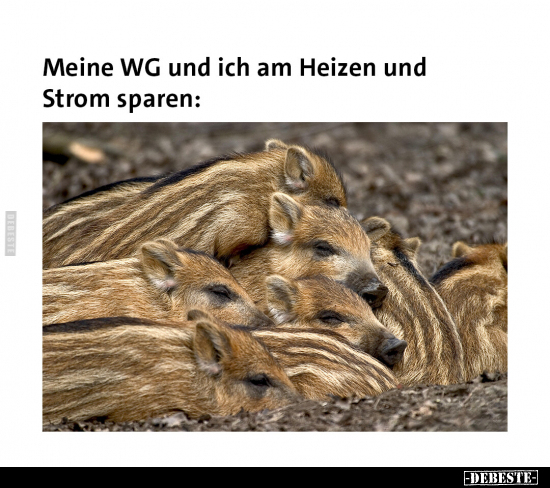Meine WG und ich am Heizen und Strom sparen.. - Lustige Bilder | DEBESTE.de