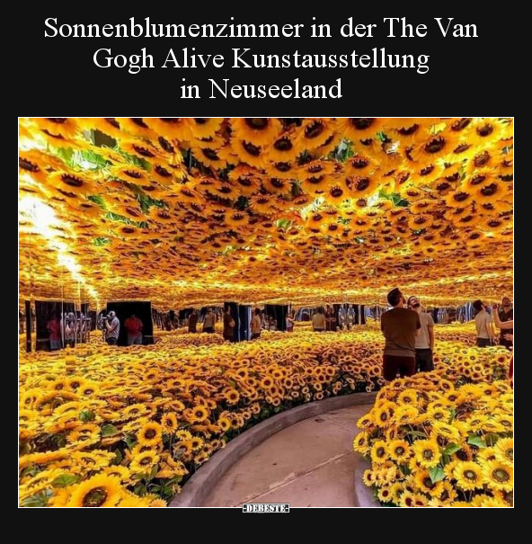 Sonnenblumenzimmer in der The Van Gogh Alive.. - Lustige Bilder | DEBESTE.de