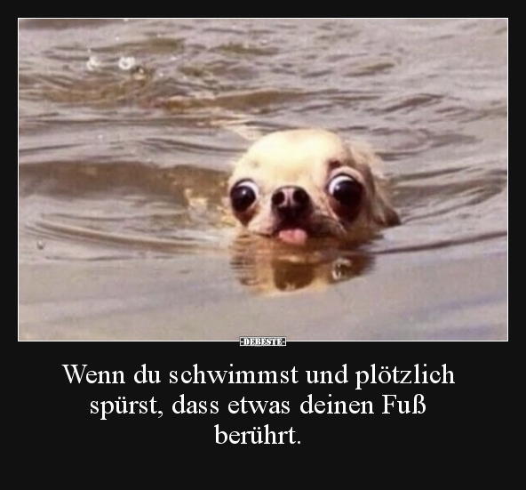 Wenn du schwimmst und plötzlich spürst, dass etwas deinen Fuß berührt.