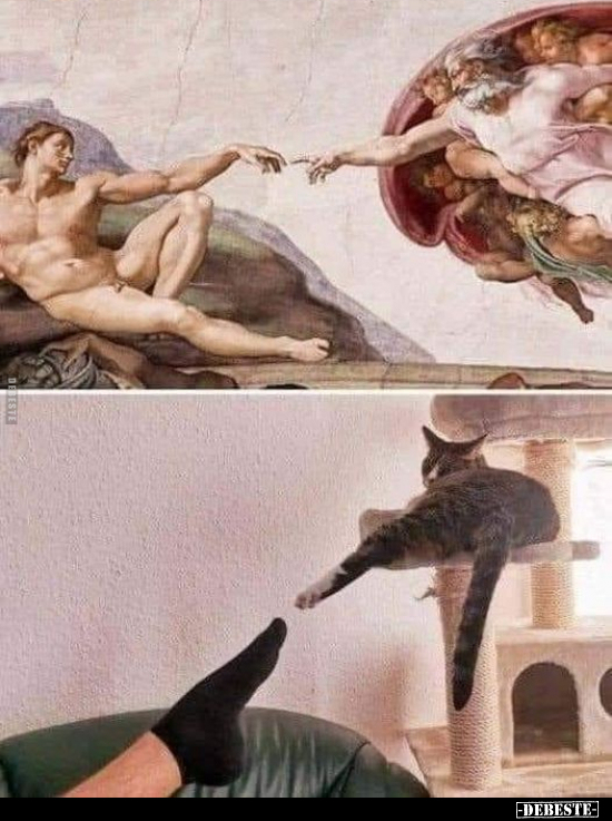  - Lustige Bilder | DEBESTE.de