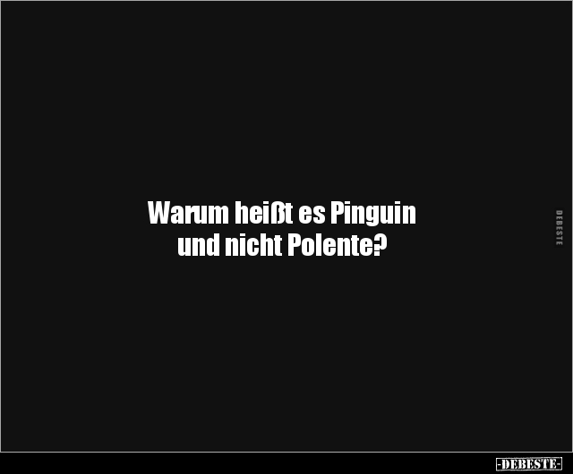 Warum heißt es Pinguin und nicht Polente?.. - Lustige Bilder | DEBESTE.de