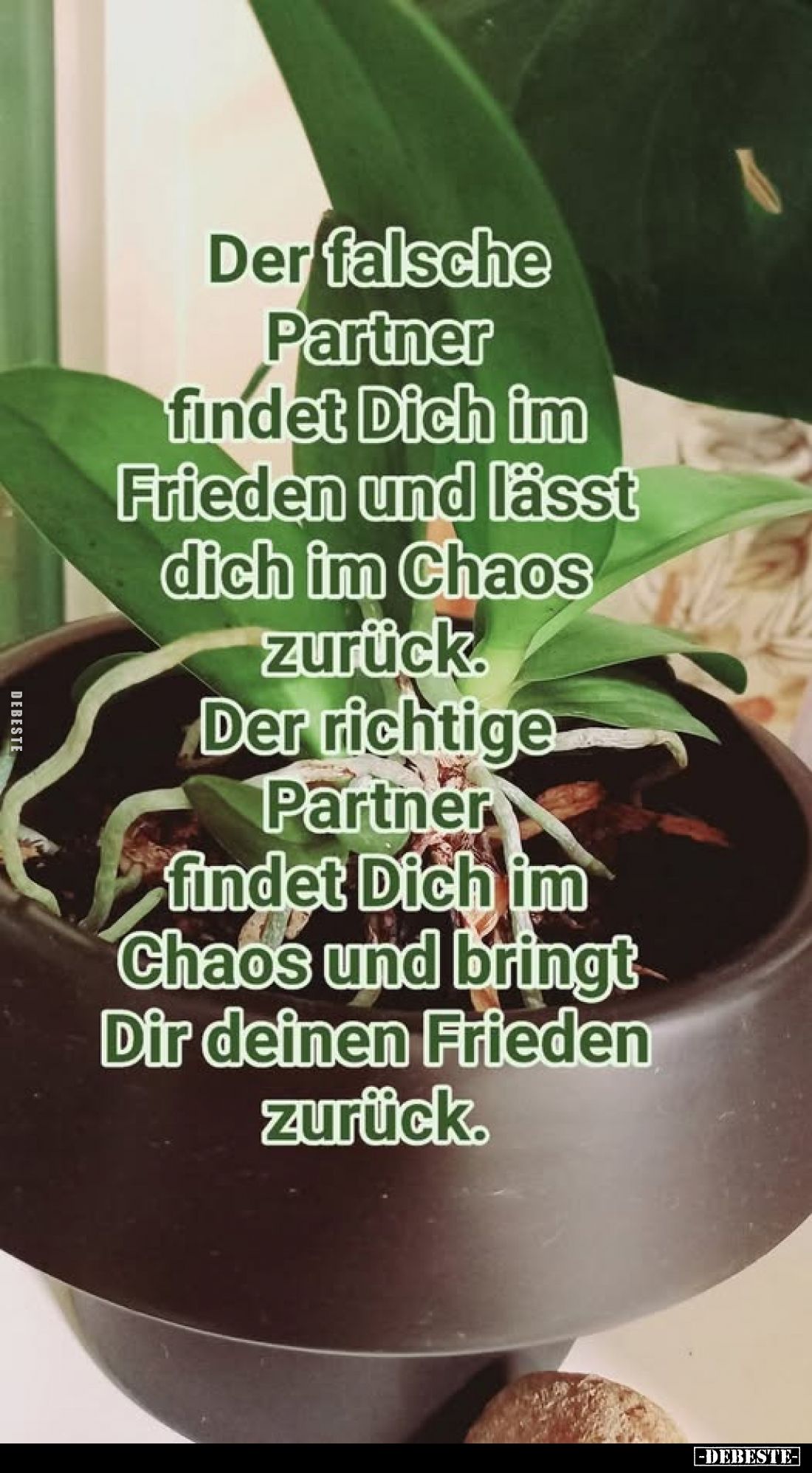 Der falsche Partner findet Dich im Frieden und lässt dich im Chaos zurück.
Der richtige Partner findet Dich im Chaos und bri...