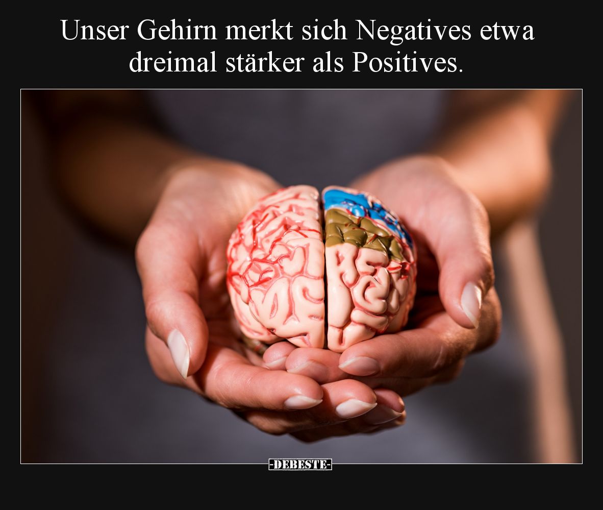 Unser Gehirn merkt sich Negatives etwa dreimal stärker als Positives.