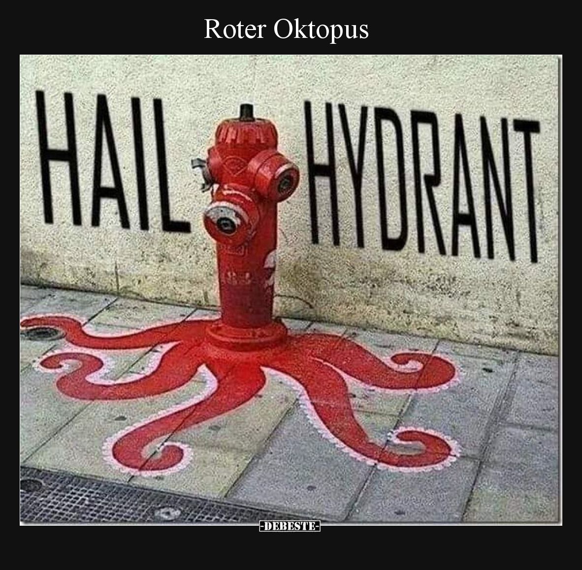 Roter Oktopus.. - Lustige Bilder | DEBESTE.de
