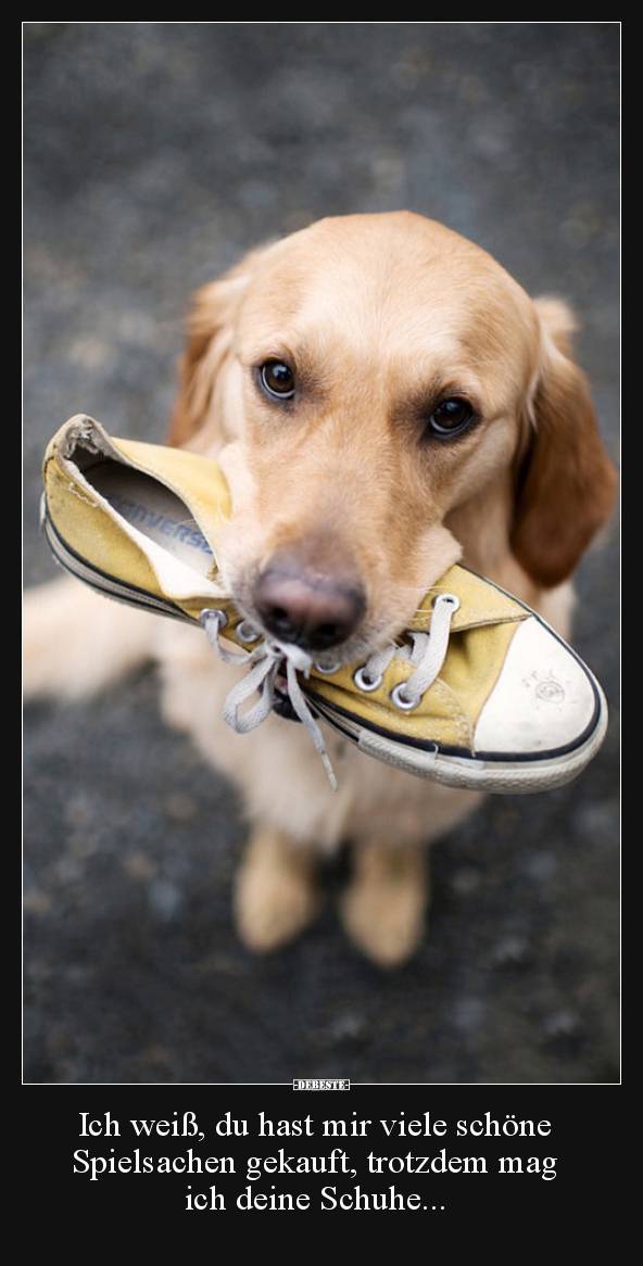 Ich weiß, du hast mir viele schöne Spielsachen gekauft..