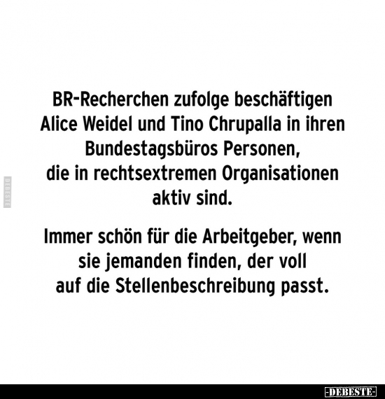 BR-Recherchen zufolge beschäftigen Alice Weidel und Tino.. - Lustige Bilder | DEBESTE.de