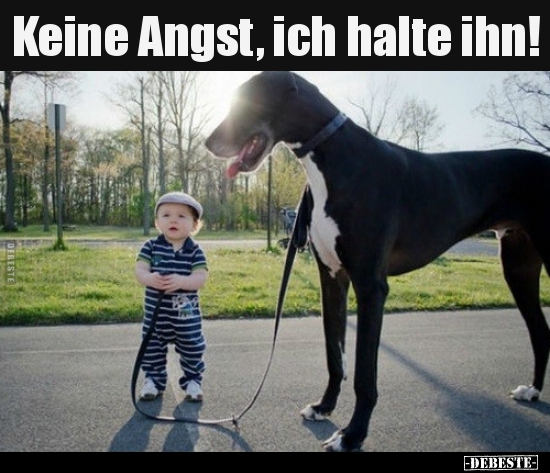Keine Angst, ich halte ihn!..