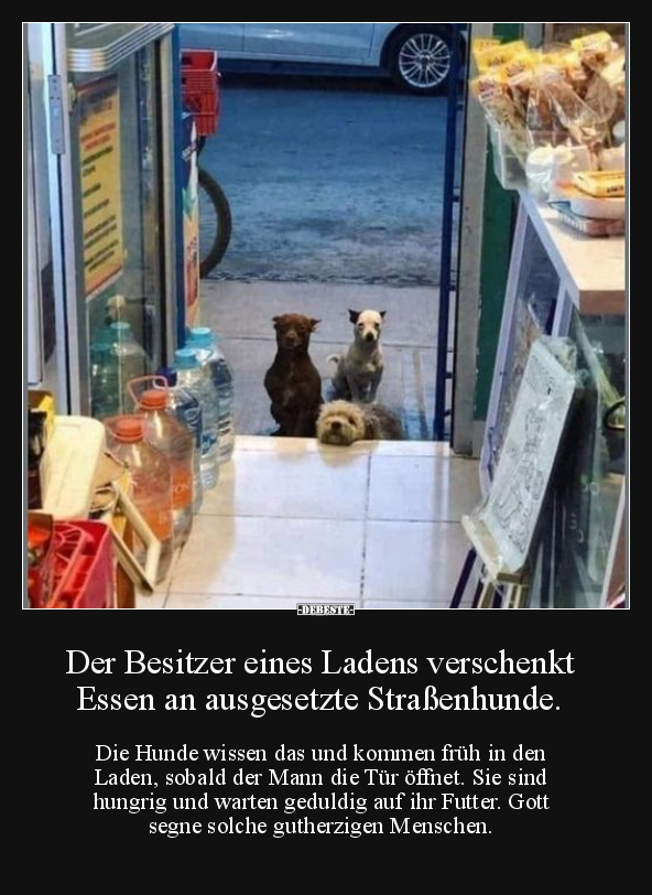 Der Besitzer eines Ladens verschenkt Essen an ausgesetzte.. - Lustige Bilder | DEBESTE.de