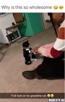 ☺ - Lustige Bilder | DEBESTE.de