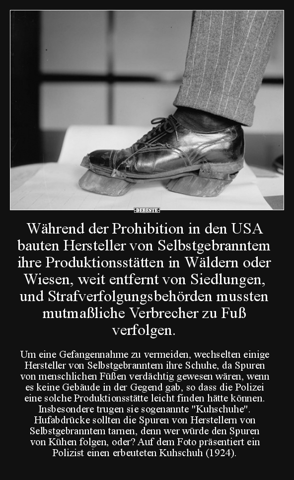 Während der Prohibition in den USA bauten Hersteller von.. - Lustige Bilder | DEBESTE.de