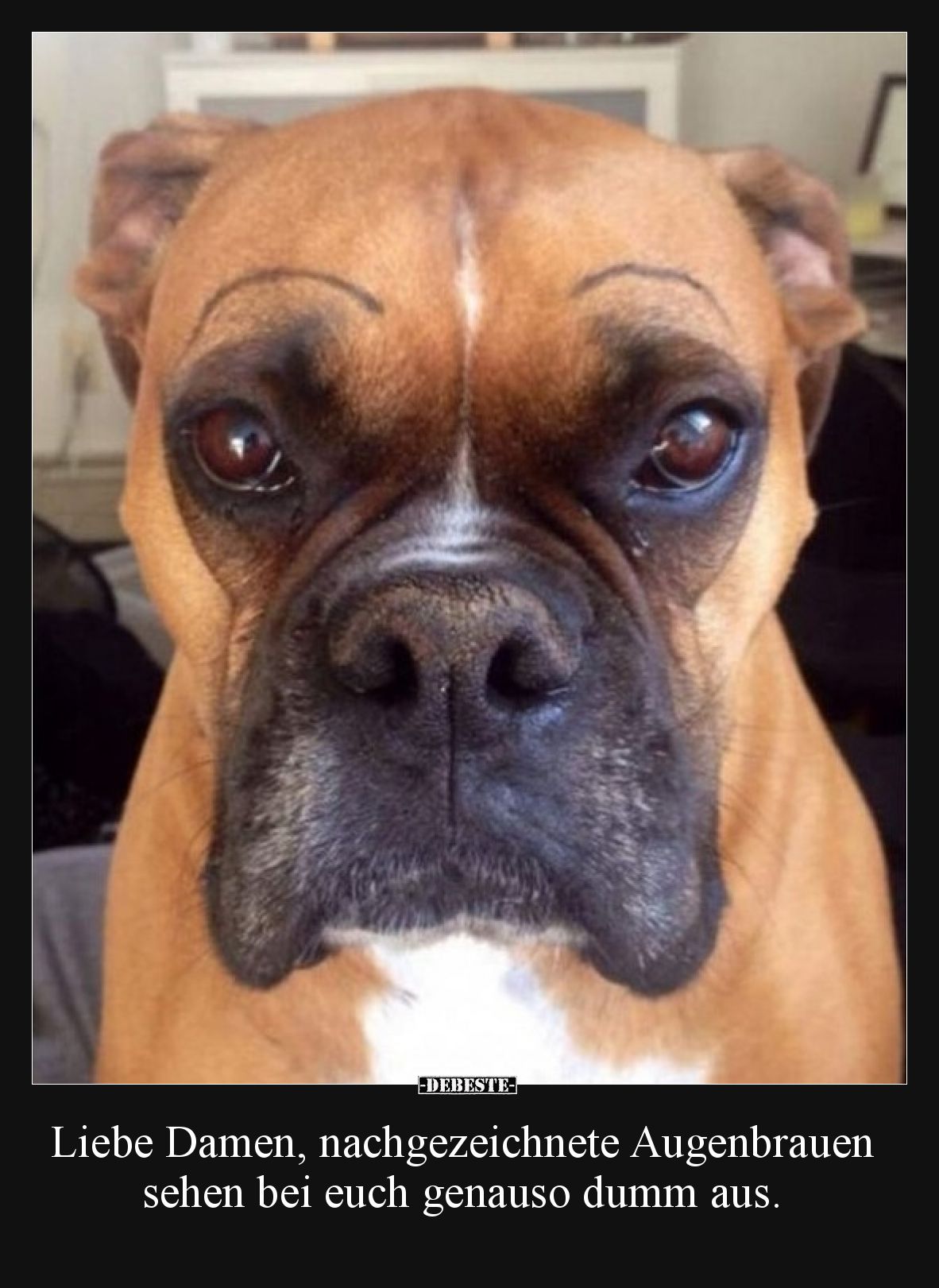 Liebe Damen, nachgezeichnete Augenbrauen sehen bei euch genauso dumm aus.
