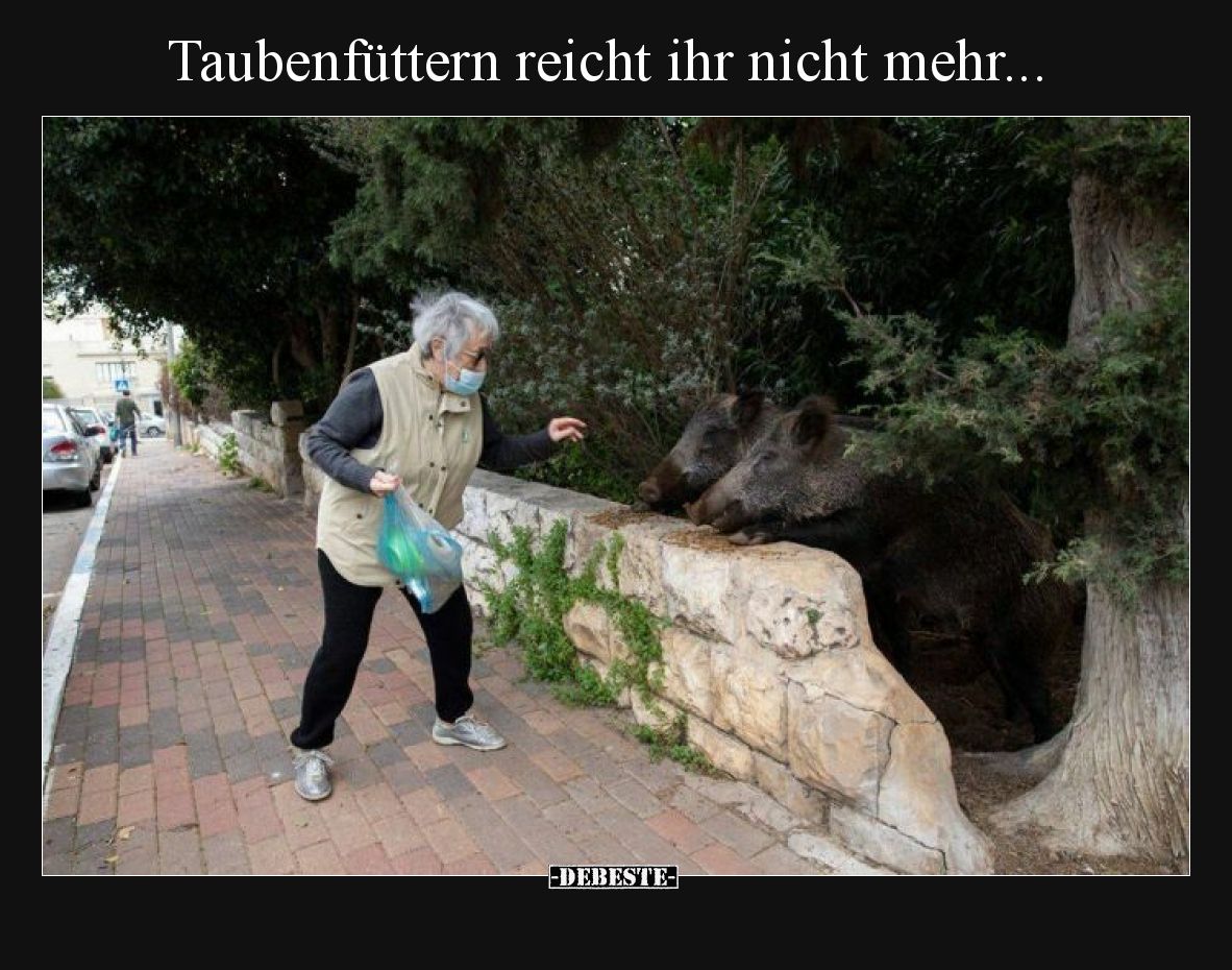 Taubenfüttern reicht ihr nicht mehr.