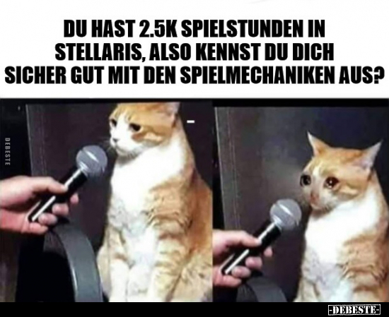 Du hast 2.5K Spielstunden in Stellaris..