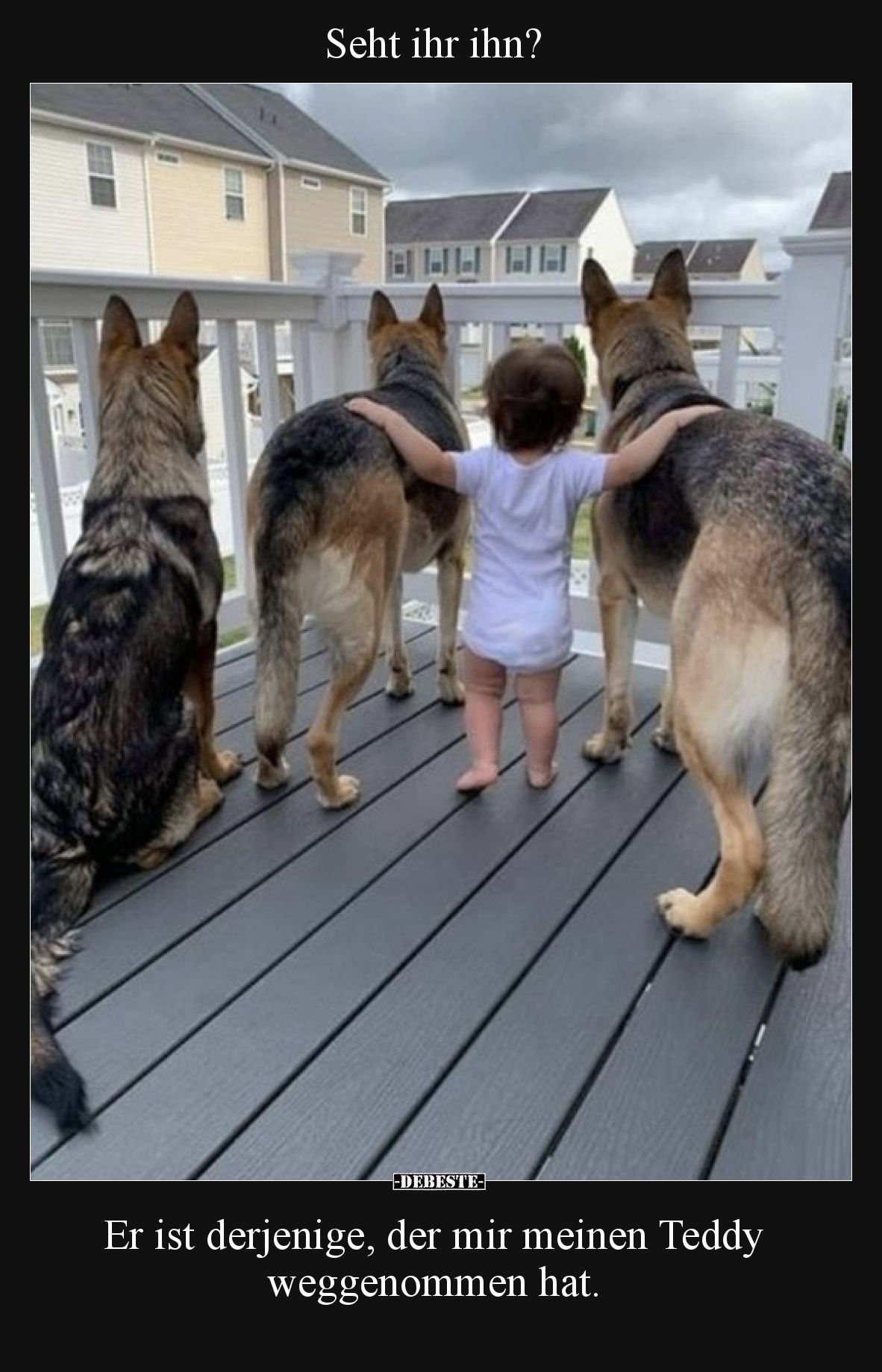 Seht ihr ihn?  Er ist derjenige, der mir meinen Teddy weggenommen hat.