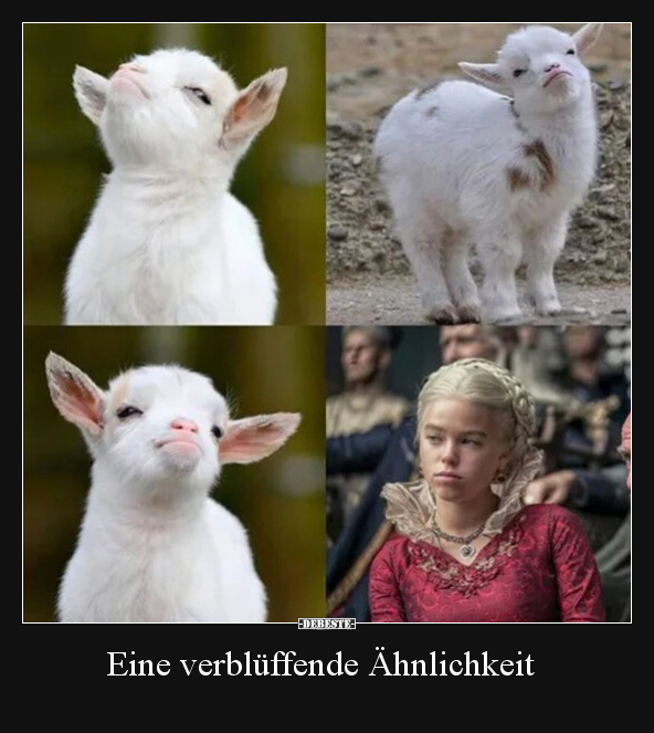 Eine verblüffende Ähnlichkeit