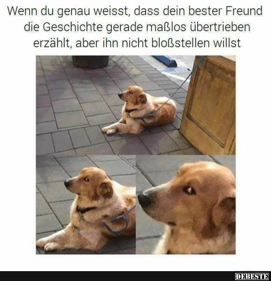 Wenn du genau weisst, dass dein bester Freund die Geschichte gerade.. - Lustige Bilder | DEBESTE.de