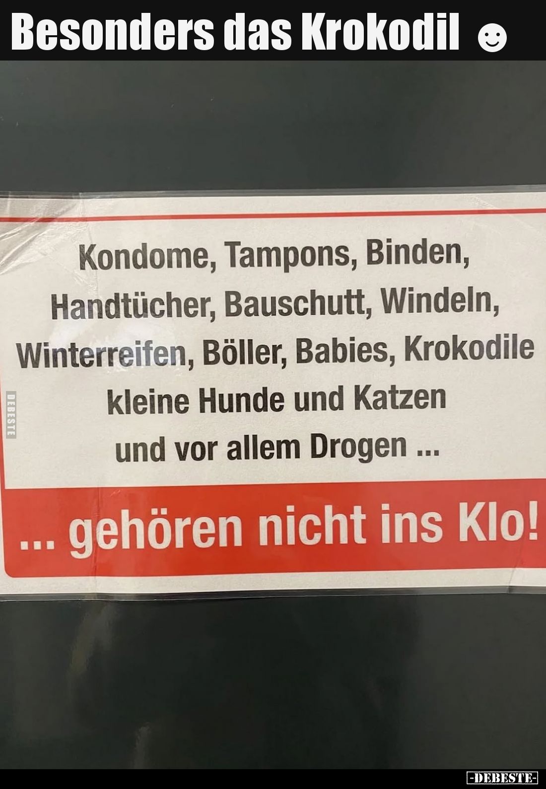 Besonders das Krokodil.