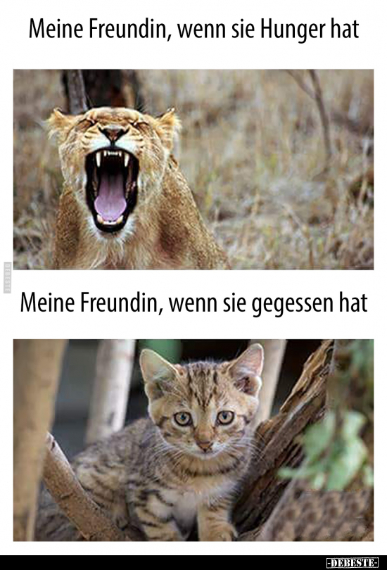 Meine Freundin, wenn sie Hunger..