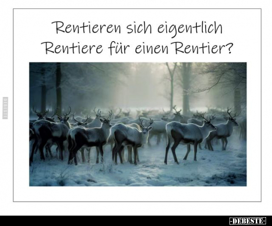 Rentieren sich eigentlich Rentiere für einen Rentier?.. - Lustige Bilder | DEBESTE.de