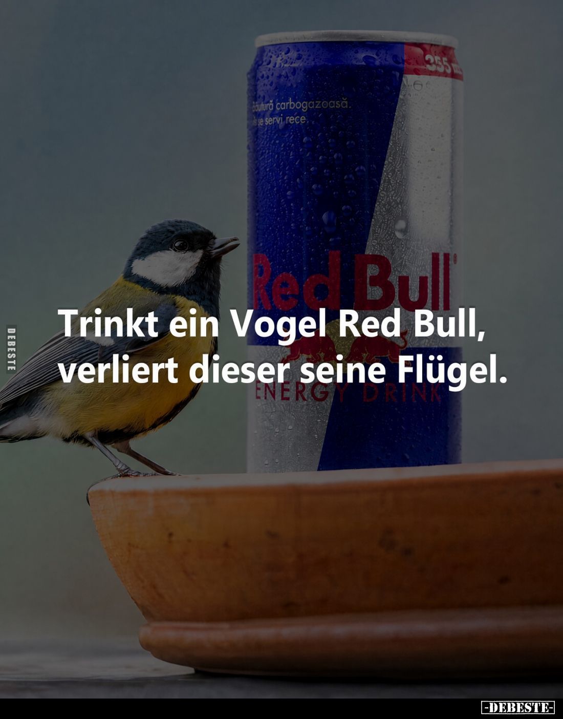 Trinkt ein Vogel Red Bull, verliert dieser seine Flügel.