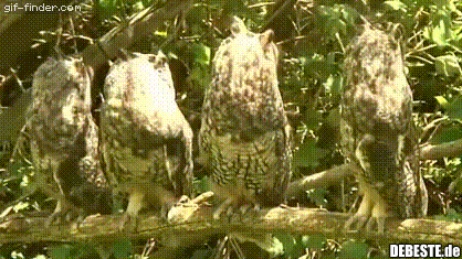  - Lustige Bilder | DEBESTE.de