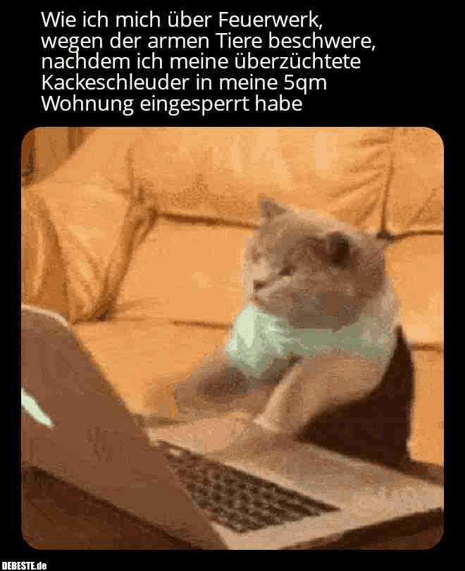 Wie ich mich über Feuerwerk, wegen der armen Tiere beschwere, nachdem ich meine überzüchtete Kackeschleuder in meine 5qm Wohnung eingesperrt habe..