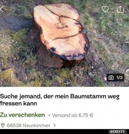 Suche jemand, der mein Baumstamm weg fressen kann.. - Lustige Bilder | DEBESTE.de
