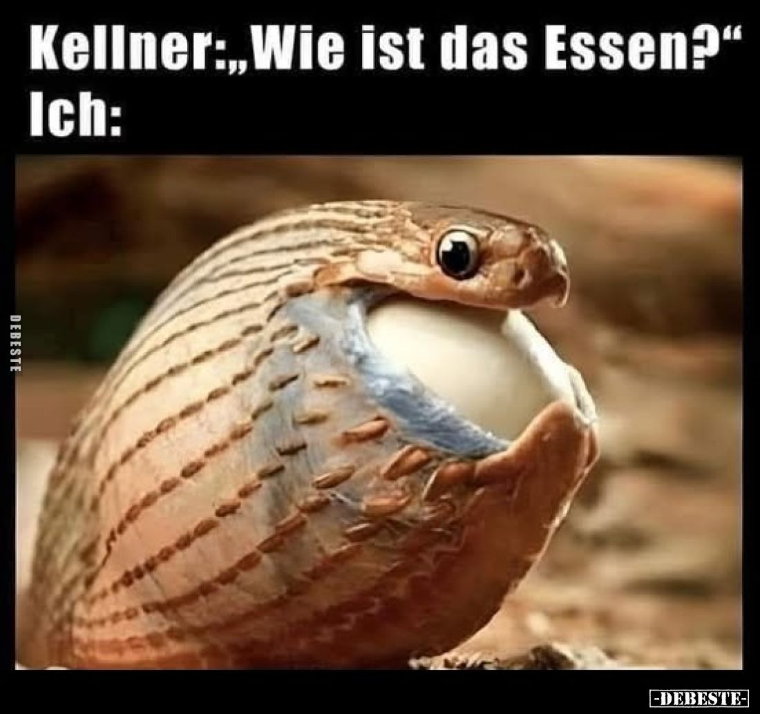 Kellner: "Wie ist das Essen?"
Ich: