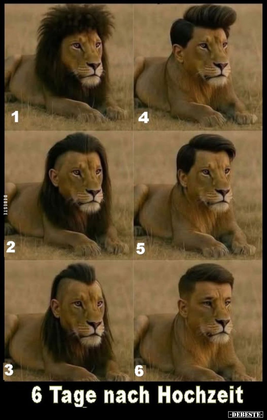 6 Tage nach Hochzeit