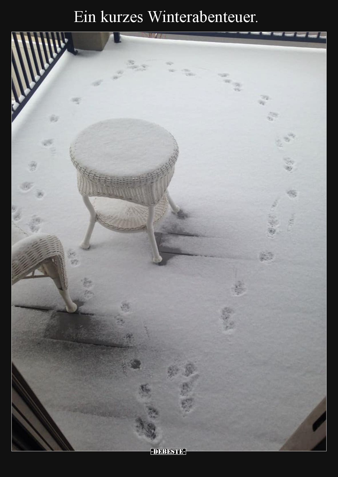 Ein kurzes Winterabenteuer