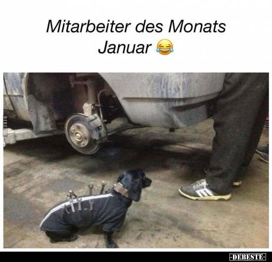 Mitarbeiter des Monats Januar.. - Lustige Bilder | DEBESTE.de