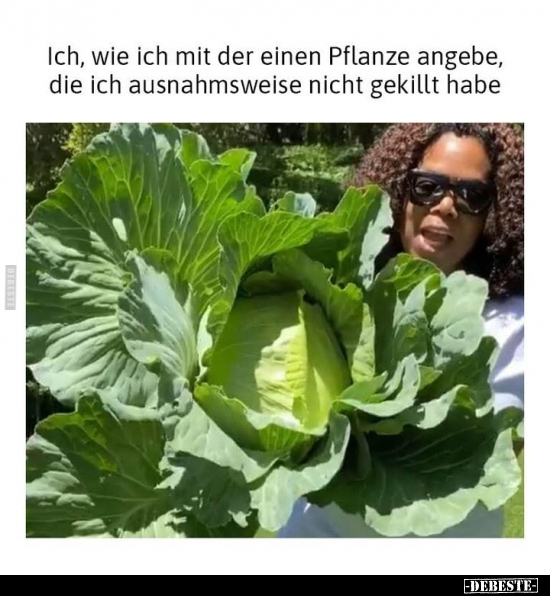 Ich, wie ich mit der einen Pflanze angebe, die ich ausnahmsweise nicht gekillt habe