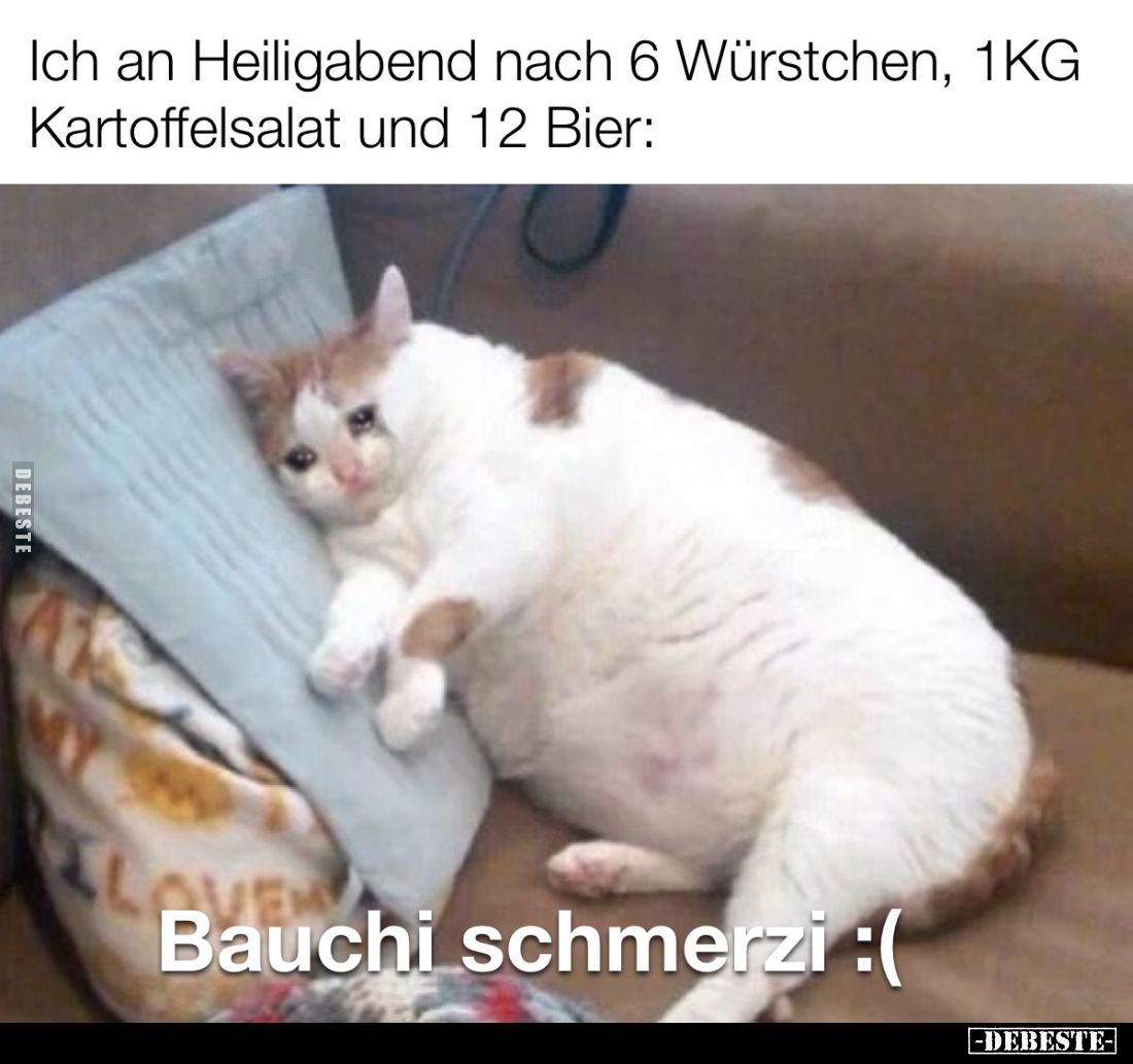 Ich an Heiligabend nach 6 Würstchen, 1KG Kartoffelsalat und 12 Bier:
LOVEM Bauchi schmerzi :(