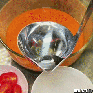 Entfettungsschöpfkelle.