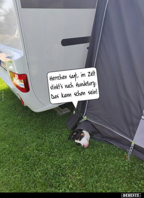 Herrschen sagt, im Zelt stinkt's nach Hundefurz... - Lustige Bilder | DEBESTE.de