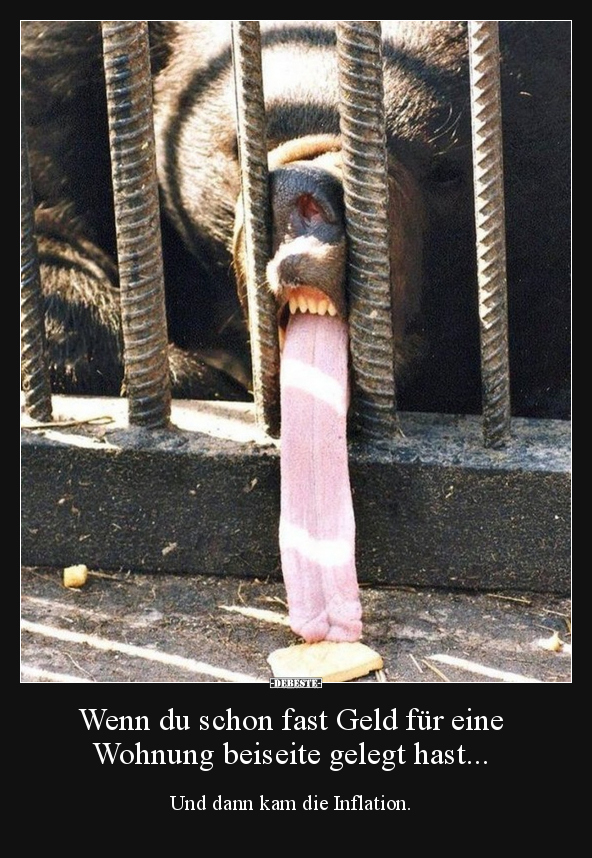 Wenn du schon fast Geld für eine Wohnung beiseite gelegt..