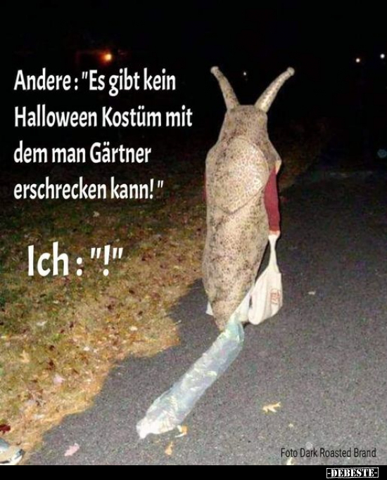 Andere: "Es gibt kein Halloween Kostüm mit dem man Gärtner.." - Lustige Bilder | DEBESTE.de
