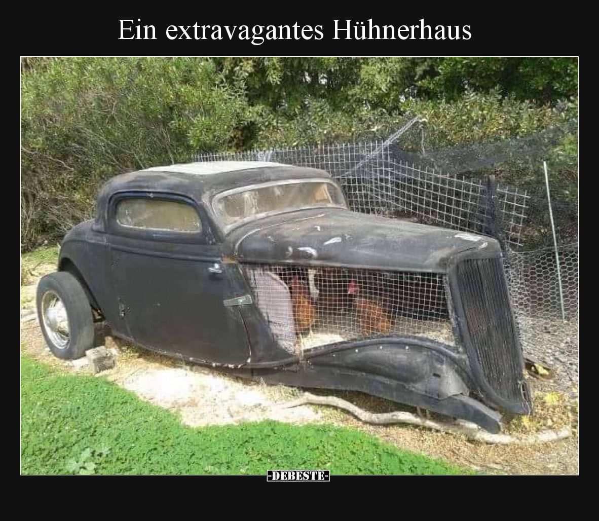 Ein extravagantes Hühnerhaus