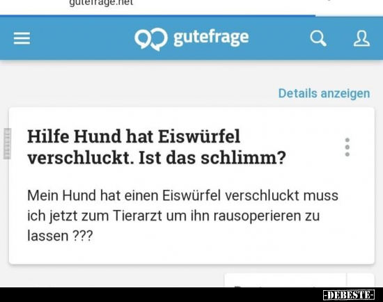 Hilfe Hund hat Eiswürfel verschluckt...