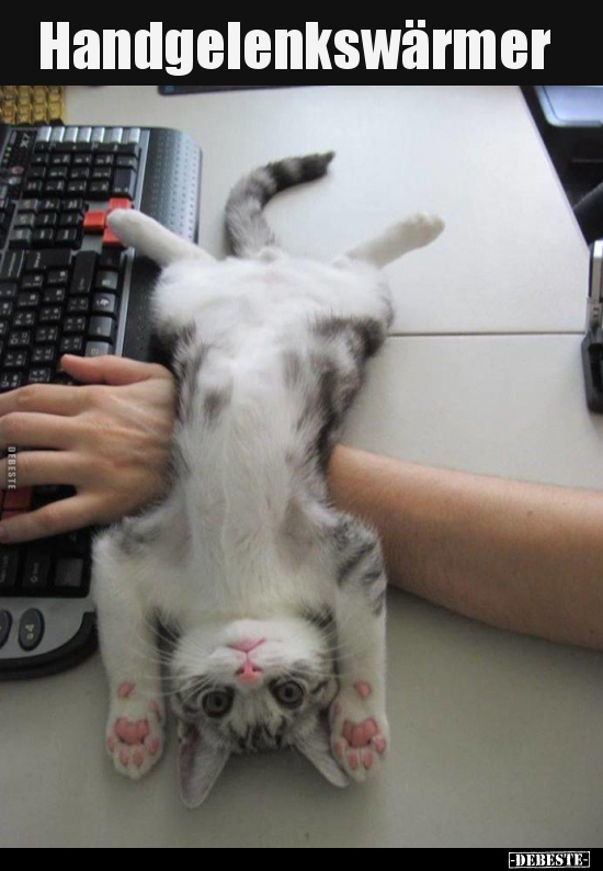 Handgelenkswärmer..