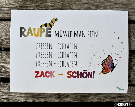 Raupe müsste man sein... - Lustige Bilder | DEBESTE.de