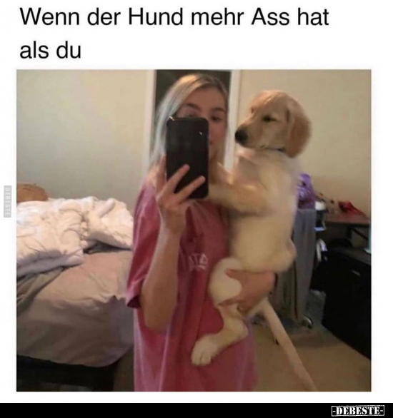 Wenn der Hund mehr Ass hat als du...