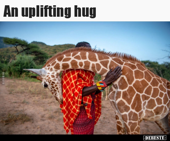 An uplifting hug.. - Lustige Bilder | DEBESTE.de