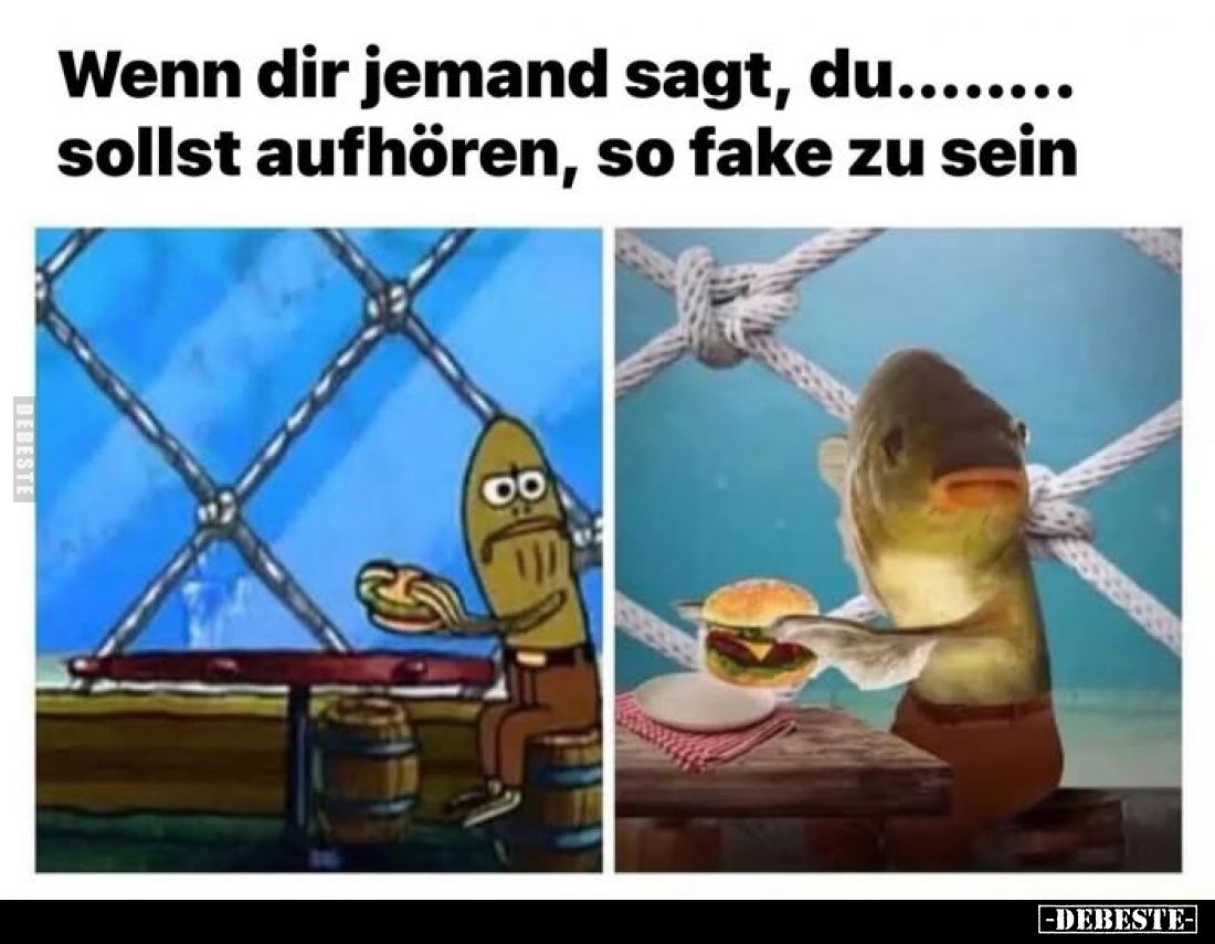 Wenn dir jemand sagt, du........ sollst aufhören, so fake zu sein