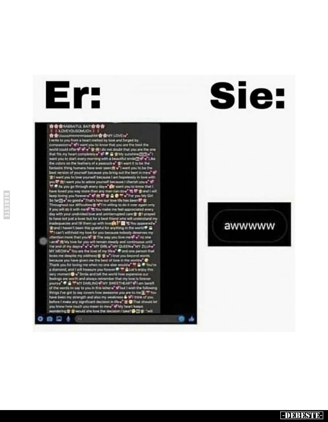 Er vs Sie.