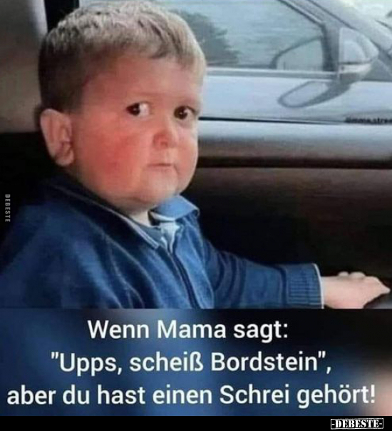 Wenn Mama sagt: "Upps, schei*ß Bordstein".. - Lustige Bilder | DEBESTE.de