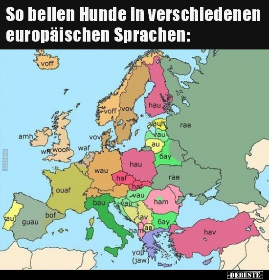 So bellen Hunde in verschiedenen europäischen Sprachen.. - Lustige Bilder | DEBESTE.de