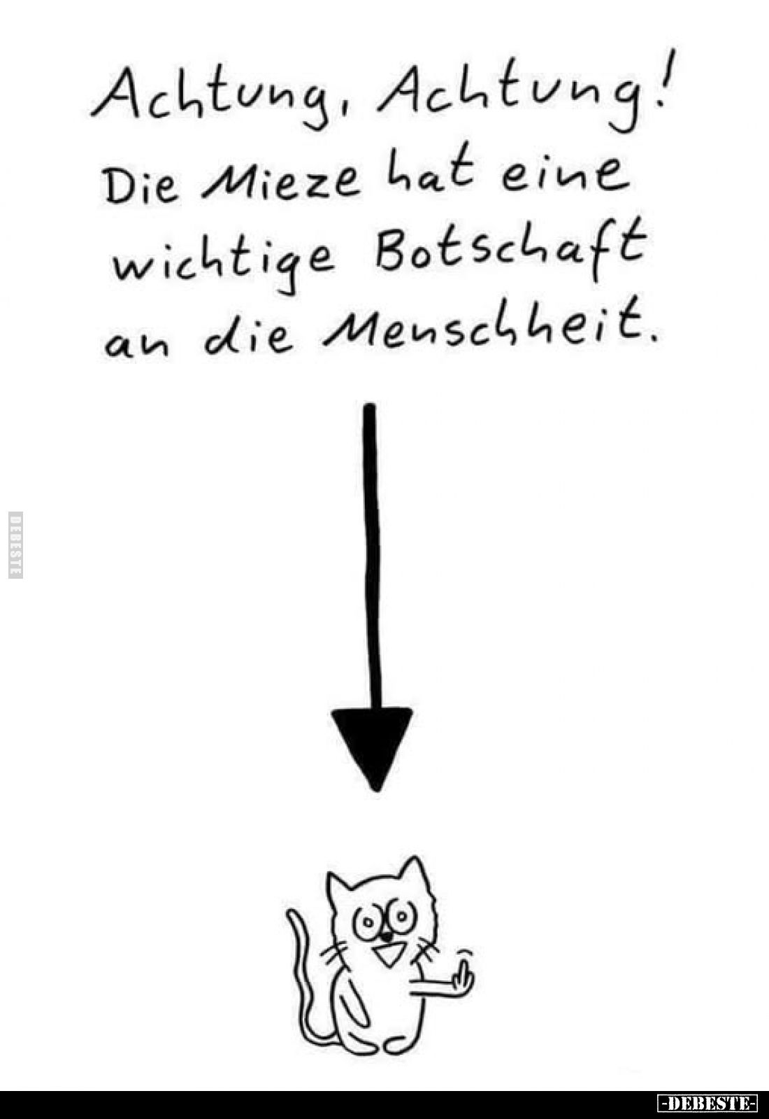 Achtung, Achtung! Die Mieze hat eine wichtige Botschaft an die Menschheit.