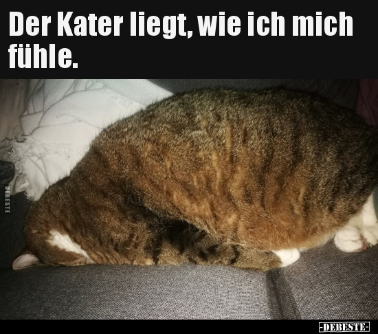 Der Kater liegt, wie ich mich fühle.
