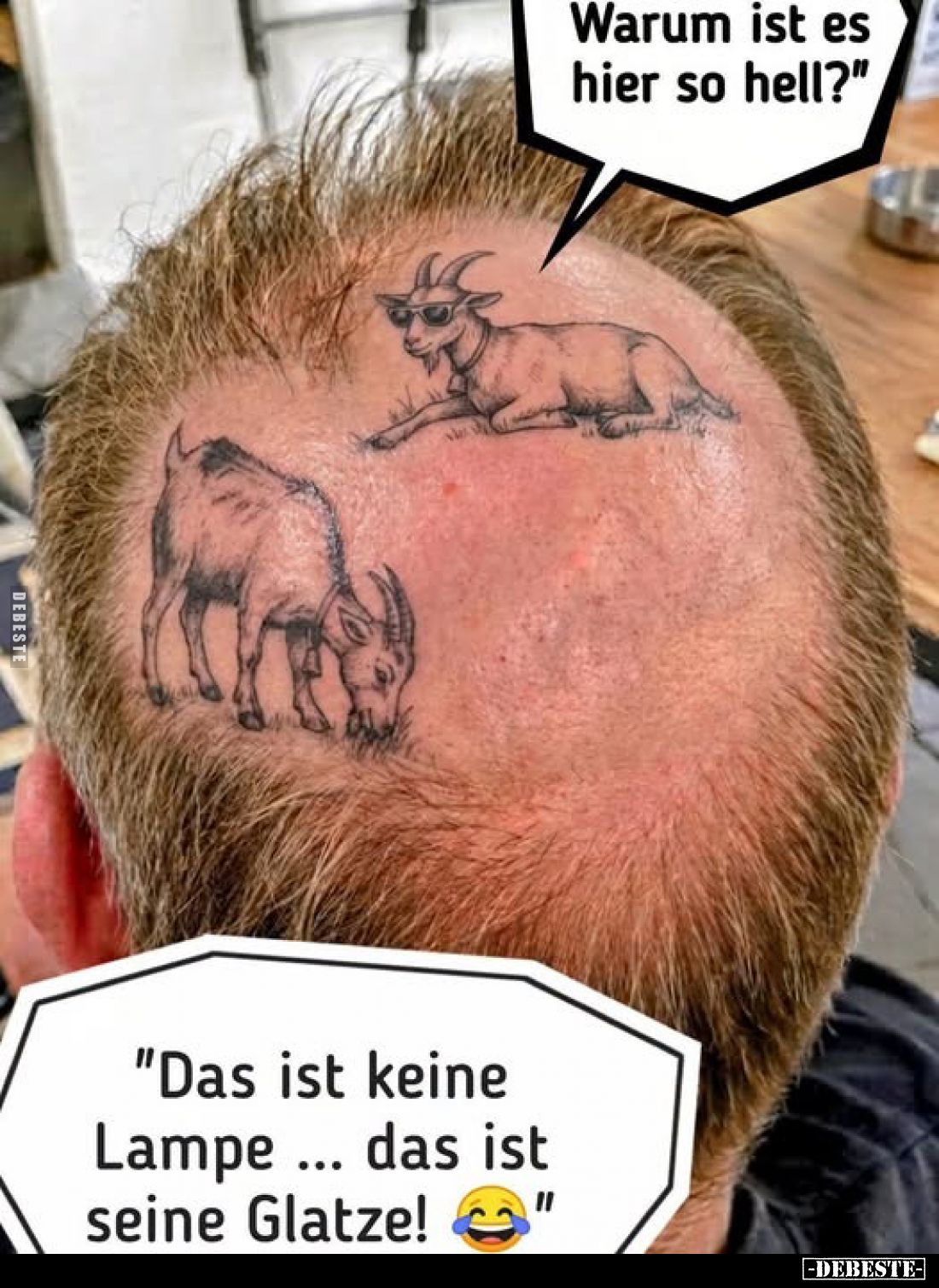 Bild